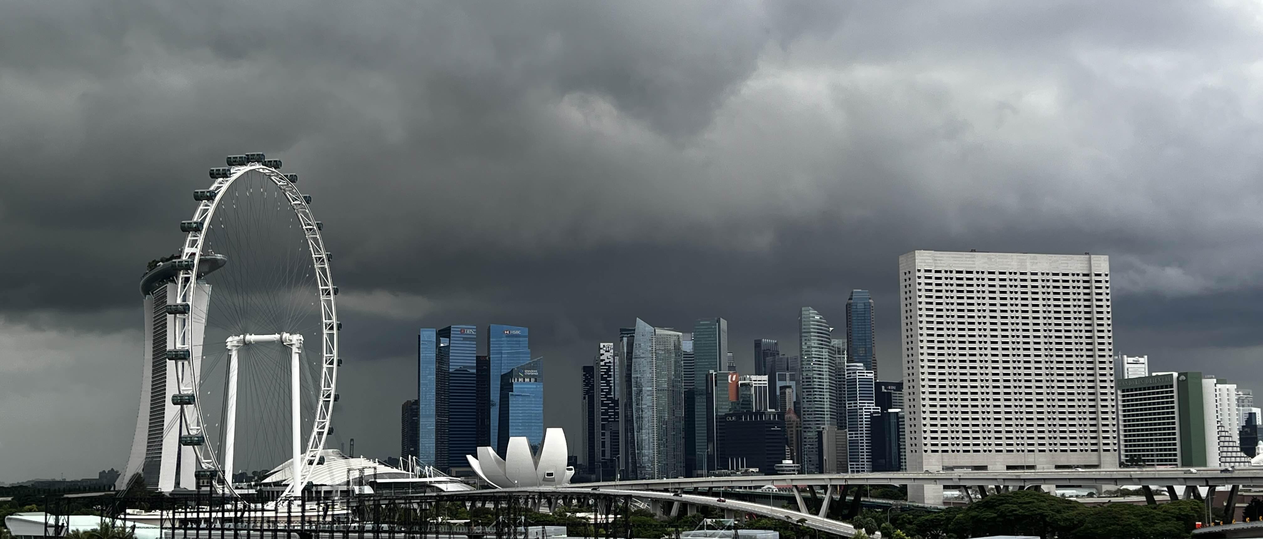 RocketRider的个人主页- moomoo 社区