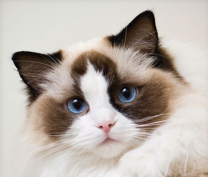 Wall Street Raiderのプロフィールページ - moomooコミュニティ