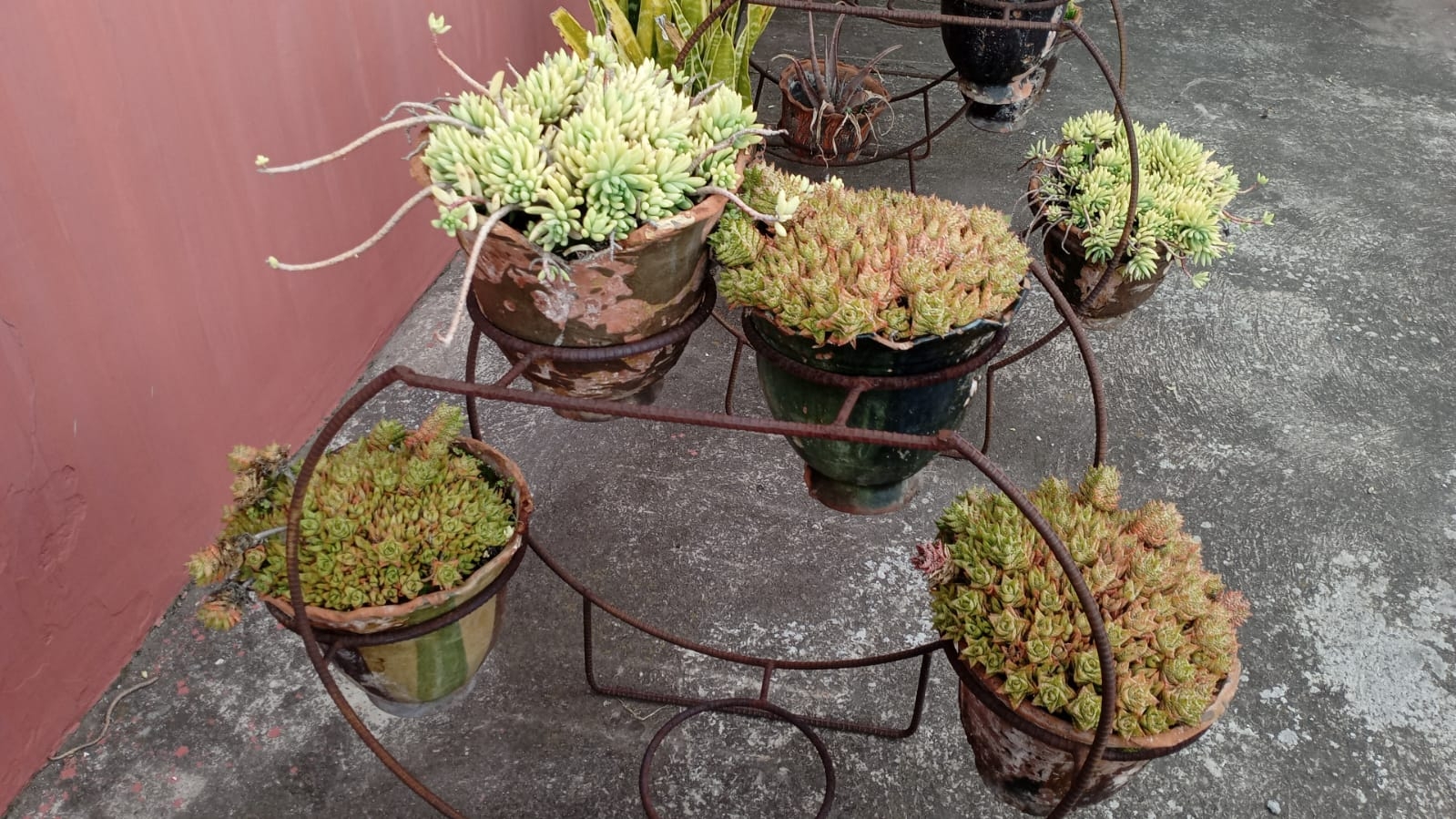 72499320のプロフィールページ - moomooコミュニティ