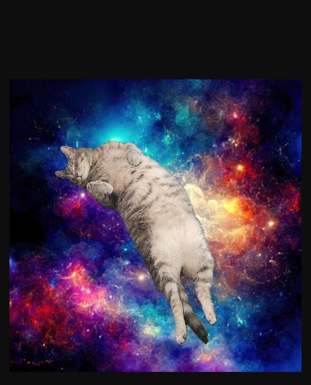 Galaxy - ころねこ Amazon.co.jp: ZENIX DESIGN TECH iPhone12 用 iPhone12 Pro 用